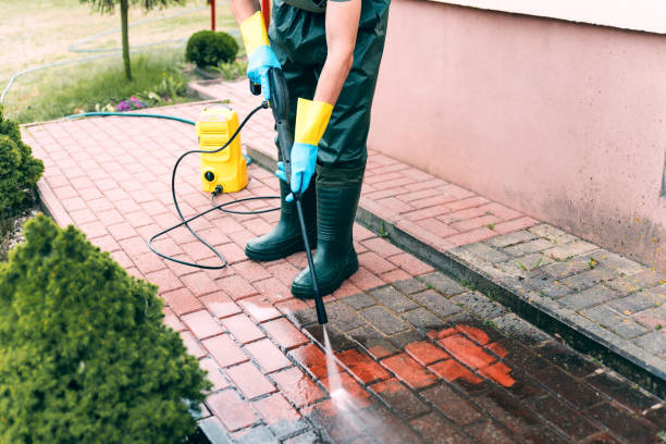 Best Driveway Pressure Washing  in Escatawpa, MS
